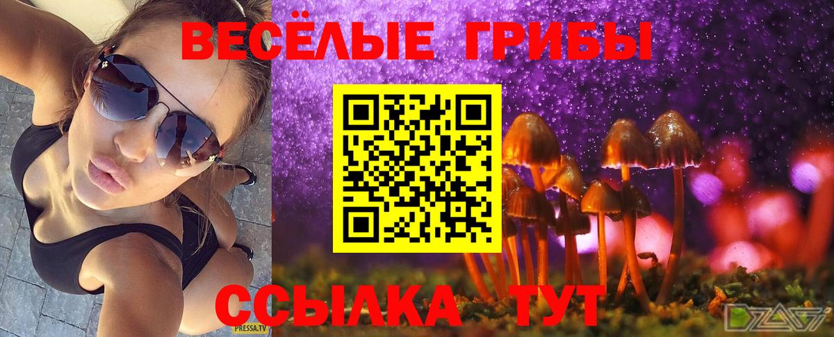 Псилоцибиновые грибы Psilocybine cubensis Химки